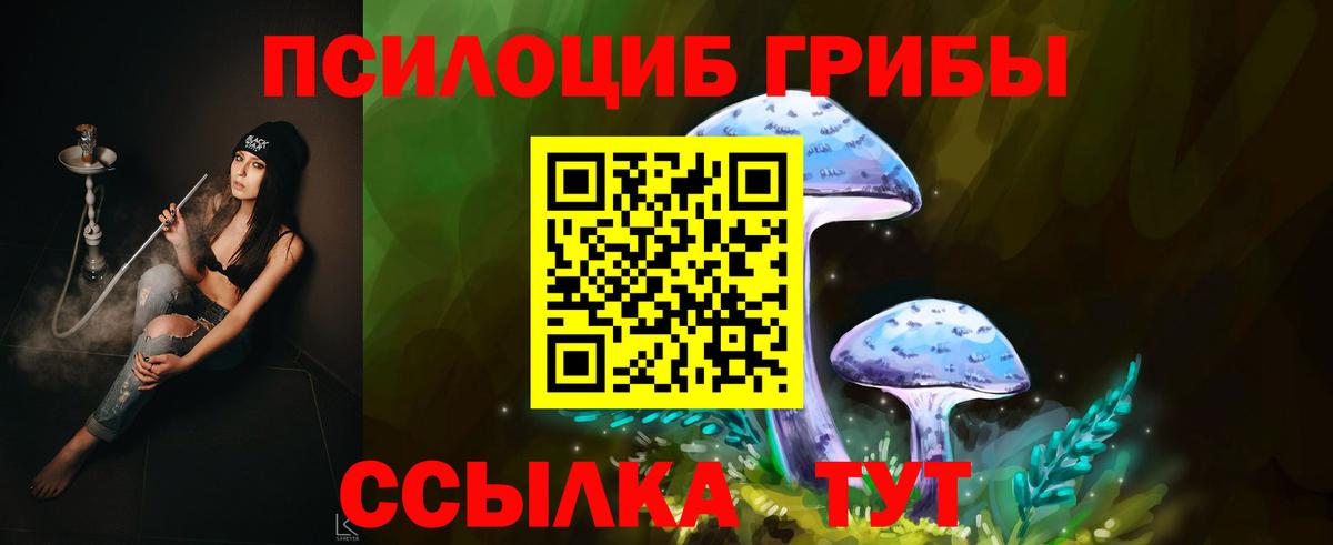 Нефтекумск  Псилоцибиновые грибы MAGIC MUSHROOMS  Псилоцибиновые грибы мицелий  дарнет шоп  Вход с VPN 